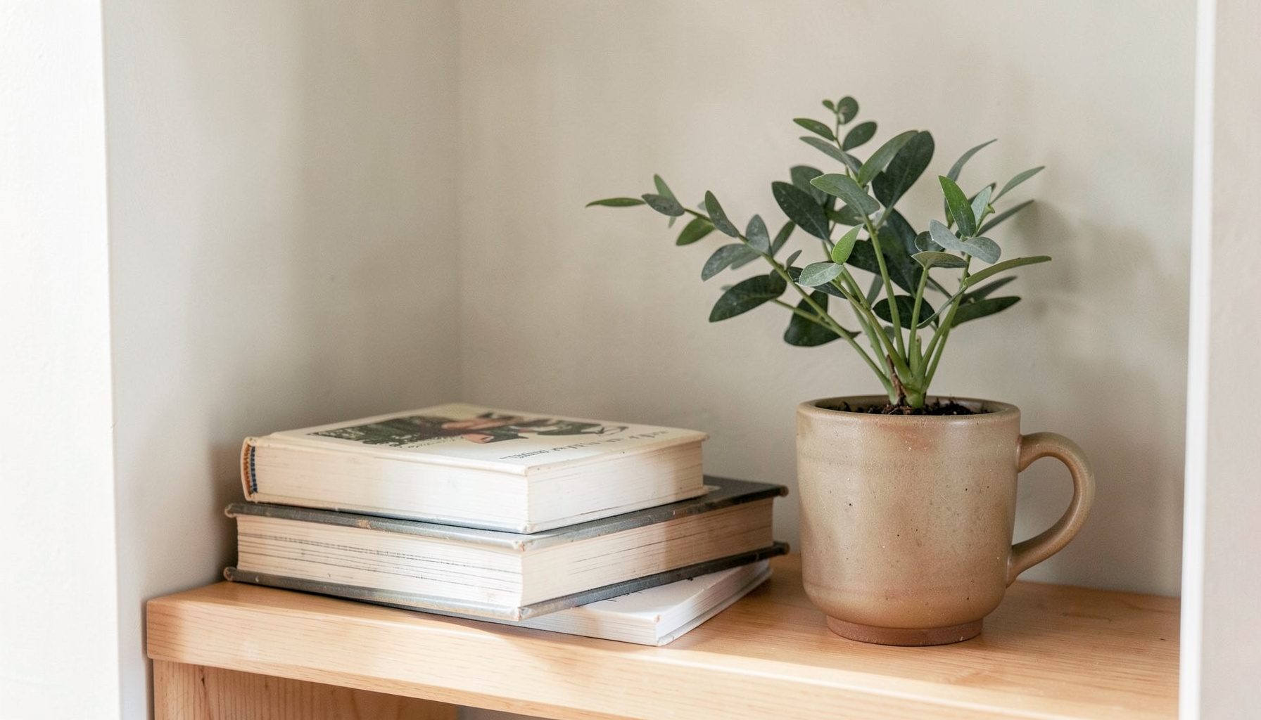 Bright reading nook with stacked books, a potted plant and a ceramic mug in warm neutral and sage tones